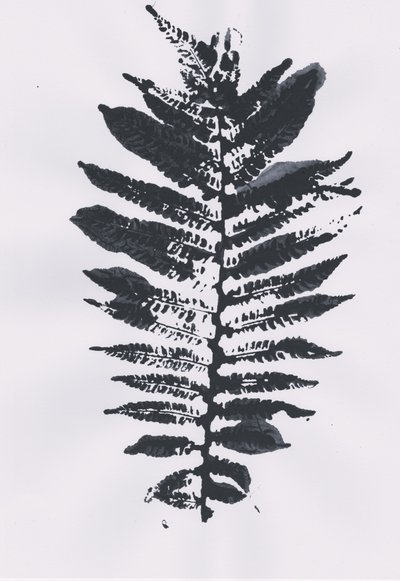 Elegant Fern Leaf tekijältä Maira Ribena