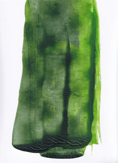 Fluid Green -tiivistelmä tekijältä Maira Ribena