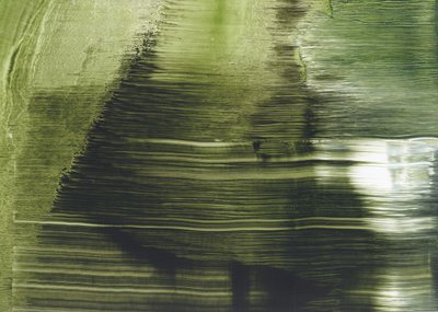 Fluid Green -tiivistelmä tekijältä Maira Ribena