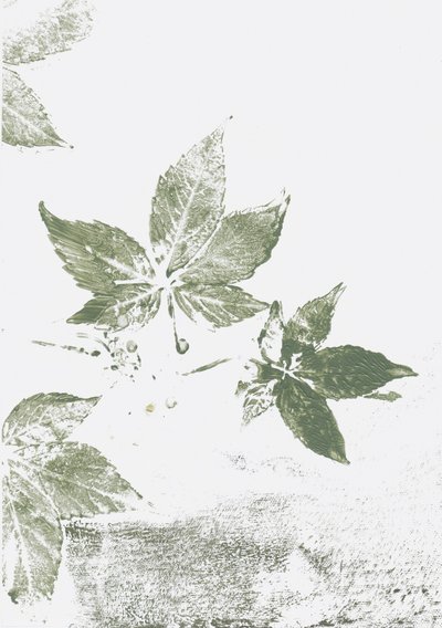 Green Leaf -vaikutelmia tekijältä Maira Ribena