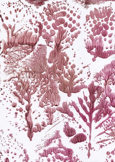 Orgaaninen Maroon Flow tekijältä Maira Ribena