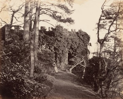 Winterdyne, Severn-joen varrella, 1860-luku (kuva). tekijältä Major Francis Gresley