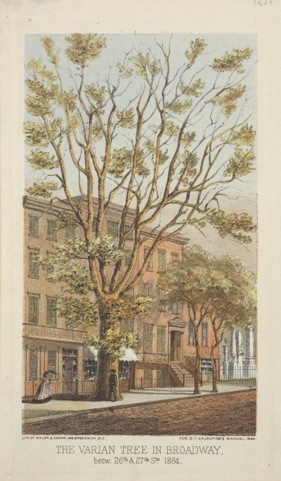 Varian Tree Broadwaylla, 26th ja 27th Streetin välissä, 1864 tekijältä Major and Knapp
