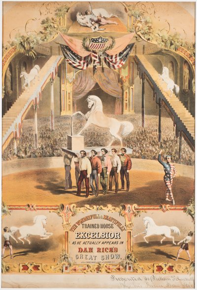 Ihana ja kauniisti koulutettu hevonen Excelsior, n. 1840 (chromolitho) tekijältä Major and Knapp Sarony