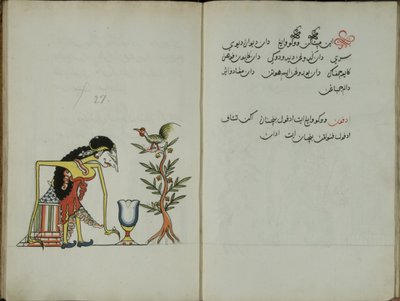 Kurkuma Java, MS 41 s. 54, kuva 27, 1830 tekijältä Malay Malay