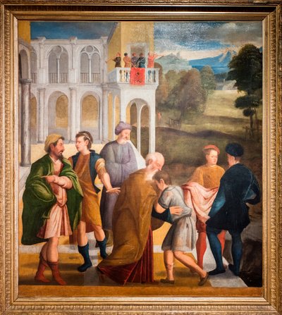 Tuhlaajapojan paluu tekijältä Marcello Fogolino