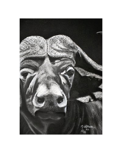 Buffalo tekijältä Marchelle de Kock