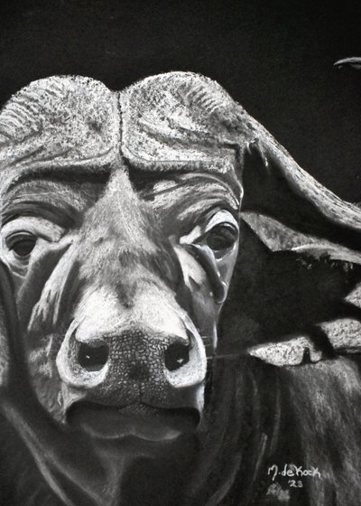 Buffalo tekijältä Marchelle de Kock
