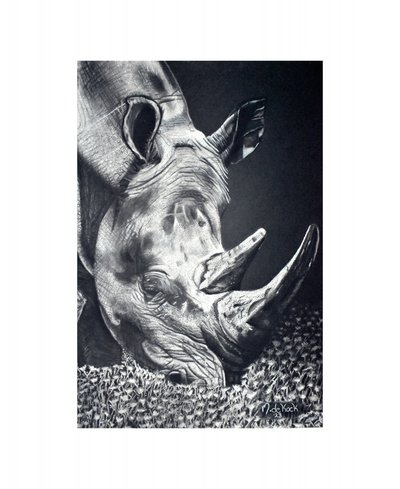 Tehokas Rhino-laiduntaminen tekijältä Marchelle de Kock