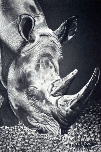 Tehokas Rhino-laiduntaminen tekijältä Marchelle de Kock