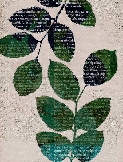 Lehdet, 2024 (monotypia) tekijältä Marco Campedelli