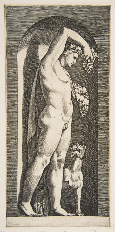 Bacchus seisoo nichessä pitäen viinirypäleitä kohotetussa oikeassa kädessään, hedelmää l..., n. 1515-27. tekijältä Marco Dente