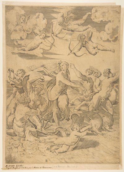 Galatea ratsastaa delfiinien vedessä vedessä, kupidon alla ja f..., n. 1515-27. tekijältä Marco Dente