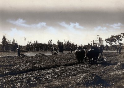 Kyntö Mussoliniassa, Cagliarin maakunnassa (m/v kuva) tekijältä Marco Leporati