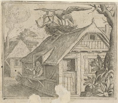 Satu haikaraista ja heidän uskonnostaan tekijältä Marcus Gheeraerts (I) (attributed to)