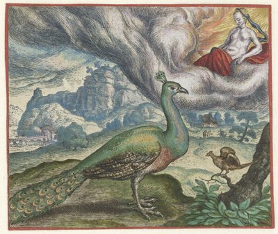 Fable of the Peacock and the Satakieli tekijältä Marcus Gheeraerts (I)