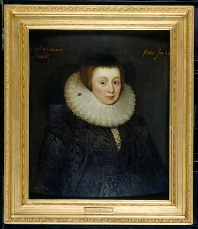 Lady Emily Howard tekijältä Marcus Gheeraerts