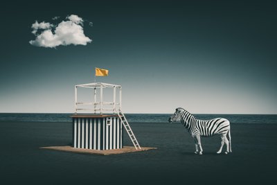 Surreal Beach Zebra tekijältä Marcus Hennen