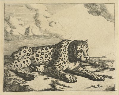 Leopardi makaa oikealla, tassut katsojalle Leopardit (sarjan nimi) tekijältä Marcus de Bye