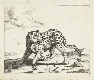 Leopardi seisoo vasemmalla, pää oikealle Leopardit (sarjan nimi) tekijältä Marcus de Bye