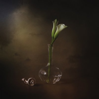 Elegantit calla-liljat tekijältä Margaret Halaby