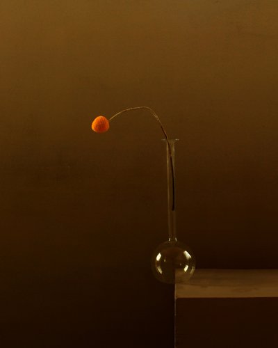 Minimalistinen oranssi kukka tekijältä Margaret Halaby