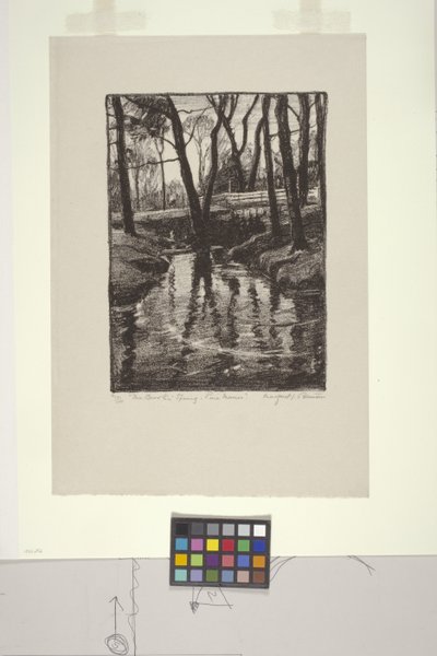 The Brook in Spring, Pine Manor (litho) tekijältä Margaret Jordan Patterson