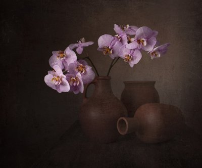 Violetti orkidea - asetelma tekijältä Margareth Perfoncio