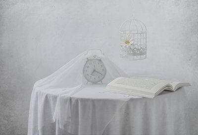 Serene Clock -kirja: Lintuhäkki tekijältä Margareth Perfoncio