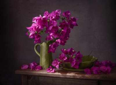 Eläväinen bougainvillea-asetelma tekijältä Margareth Perfoncio