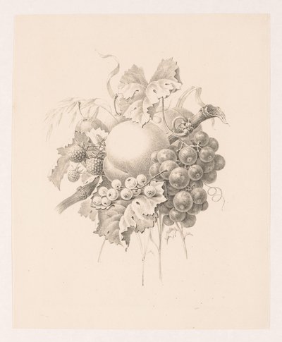 Hedelmien koostumus tekijältä Maria Geertruida de Goeje Barbiers (attributed to)