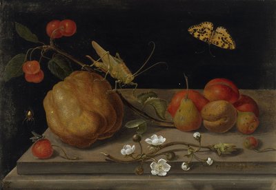 Asetelma hedelmillä, heinäsirkkalla ja perhosella, 1670-1680. tekijältä Maria Sibylla Merian