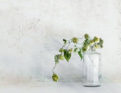  tekijältä Marie-anne Stas