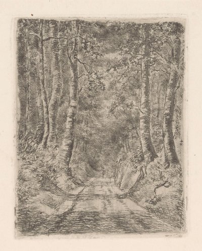 Metsä upotetun tien varrella tekijältä Marie Adolphine van der Goes van Dirxland