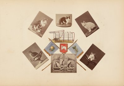 Madame B -albumi tekijältä Marie-Blanche-Hennelle Fournier