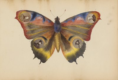 Madame B -albumi tekijältä Marie-Blanche-Hennelle Fournier