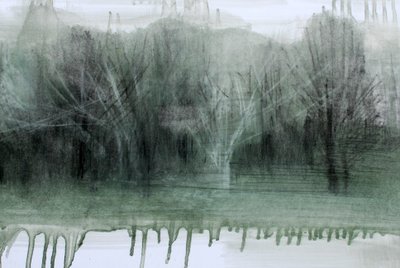 Näkymätön Busch, 2023 (öljy ja hiili paperille) tekijältä Marina Falco