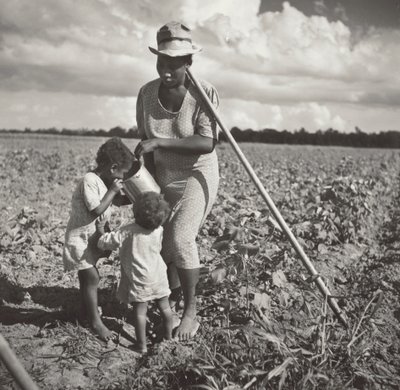 Musta nainen antaa lapsilleen juotavaa pellolla, jossa hän niittää puuvillaa FSA:n osuustoimintaprojektissa (Allen Plantation). tekijältä Marion Post Wolcott