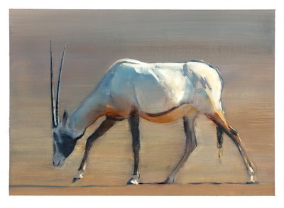 Arabian Oryx, 2010 (öljy paperille) tekijältä Mark Adlington