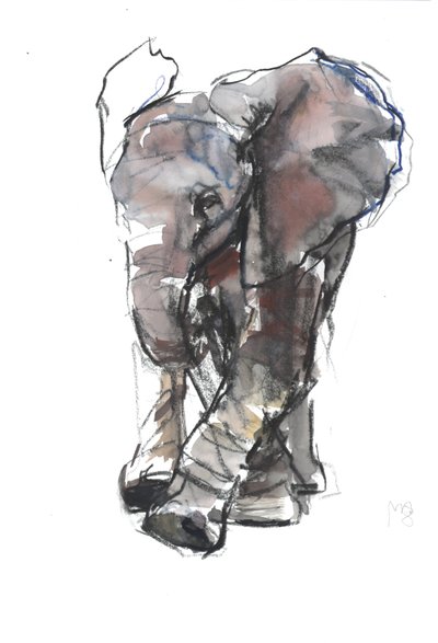 Baby Elefant Study, 2018 tekijältä Mark Adlington