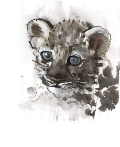 Blue Eyes (Arabian Leopard Cub), 2008 tekijältä Mark Adlington