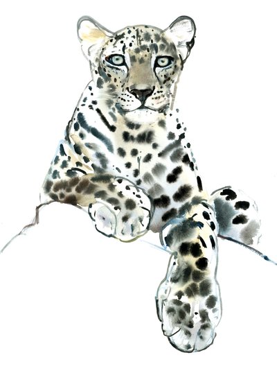 Suora (Arabian Leopard), 2015, (akvarelli ja guassi paperille) tekijältä Mark Adlington
