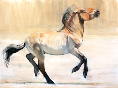 Equus (Przewalski), 2014, (pastelli ja hiili paperille) tekijältä Mark Adlington