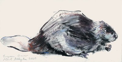 European Beaver (tutkimus) 2001 (hiili ja conte paperilla) tekijältä Mark Adlington