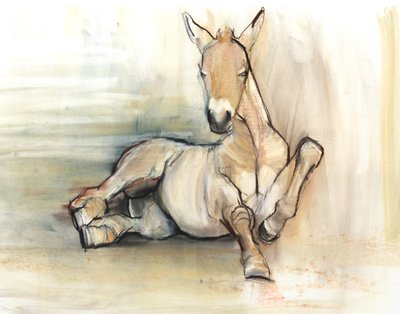 Varsa, 2012, (hiilikonté ja pastelli paperilla) tekijältä Mark Adlington