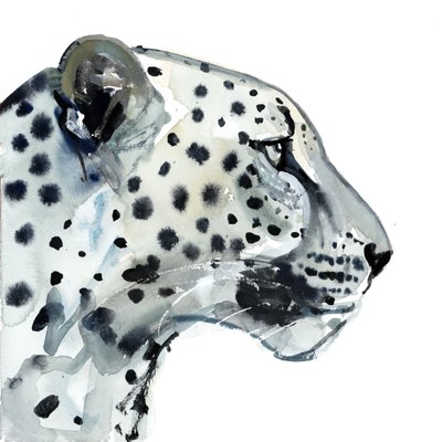 Focus, 2015, (akvarelli paperille) tekijältä Mark Adlington