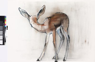 Gazelle Fawn (Arabian Gazelle) 2010 (öljy paperille) tekijältä Mark Adlington