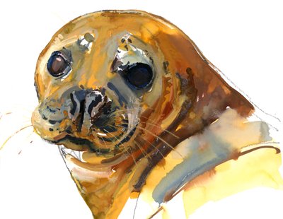 Ginger Pup, Westcove, 2023 tekijältä Mark Adlington
