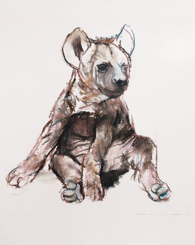 Hyaena Pup (istuva), 2019 tekijältä Mark Adlington