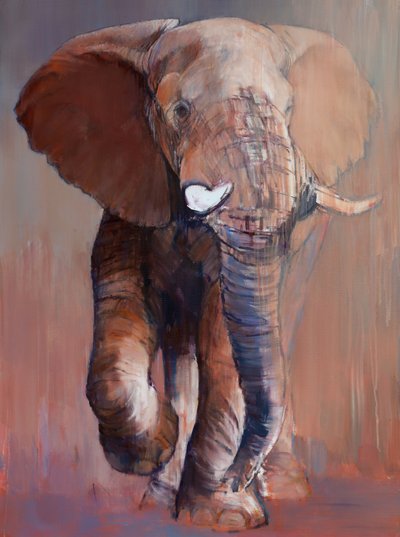 Loisaba Bull, 2018 tekijältä Mark Adlington